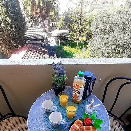 Au Calme Agreable 2 Pieces Balcon Vue Verdure Centre *